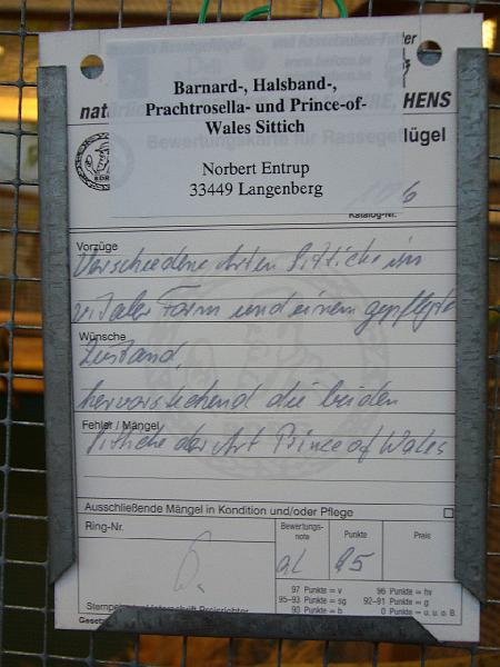 Ortsschau Langenberg 2008 254.jpg - Barnard-, Halsband, Prachtrosella und Prince-of -Wales Sittich